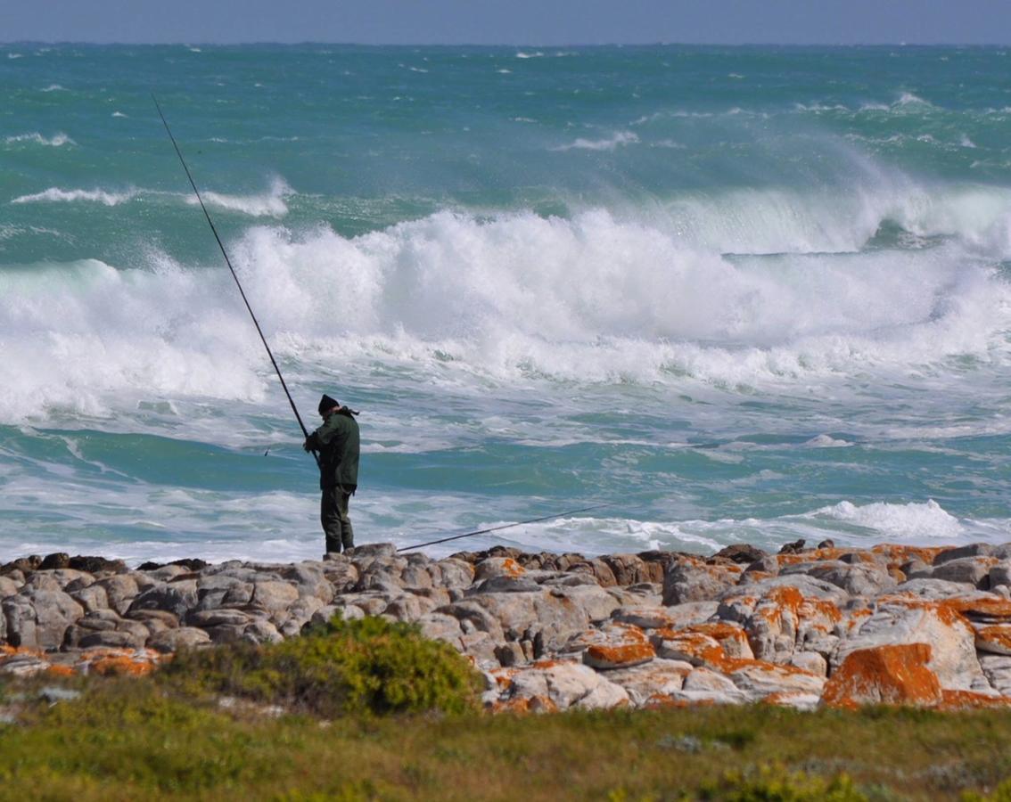 The Goose Nest Leilighet Struisbaai Eksteriør bilde